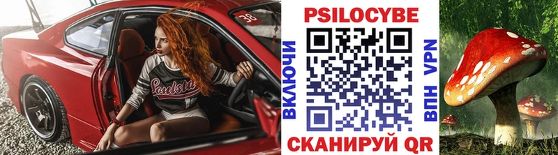 Галлюциногенные грибы прущие грибы  Покров 