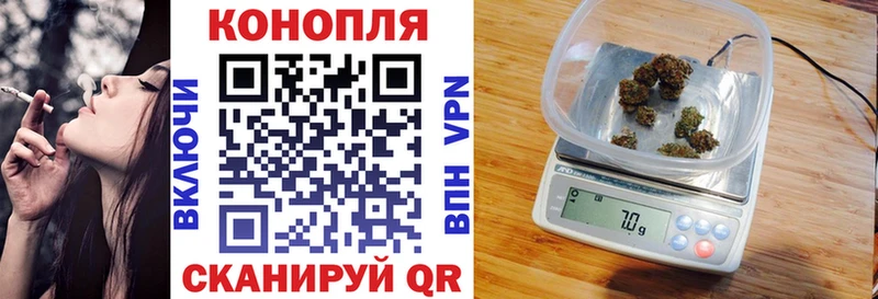 Каннабис сатива  наркошоп  Покров 